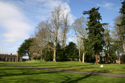 The Moot Hill, from the back